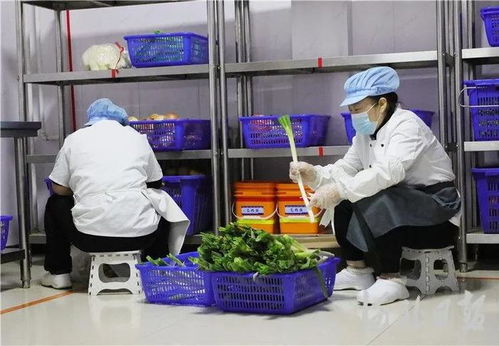 固安“互联网+明厨亮灶” 以网络技术服务为校园食品安全管理提质增效