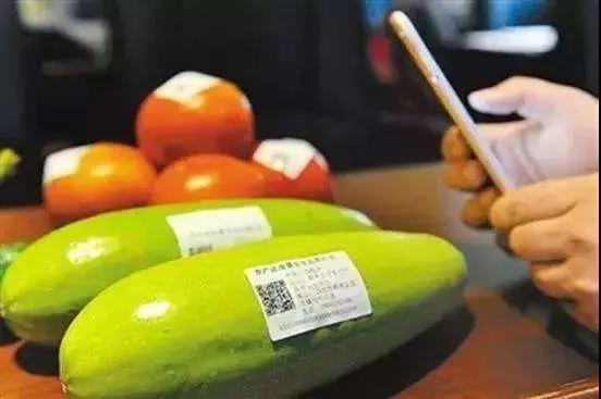时代观察 当大数据遇上食品安全，兆信股份如何用科技守护餐桌